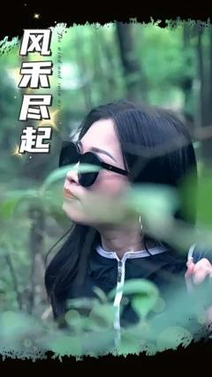 《风禾尽起》