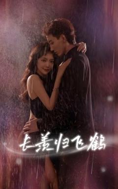 《长羡归飞鹤》