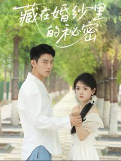 《藏在婚纱里的秘密》