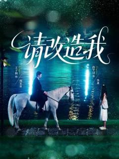 《请改造我》