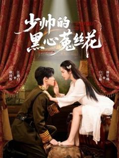 《少帅的黑心菟丝花》