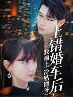 《上错婚车后我赖上冷酷谭爷》