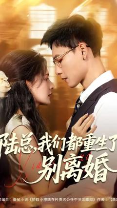 《陆总我们都重生了别离婚》