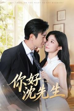 《你好沈先生》