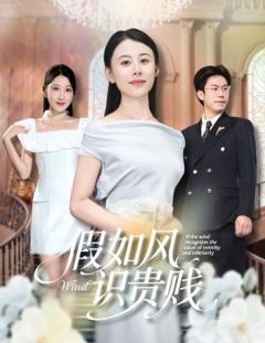 《假如风识贵贱》