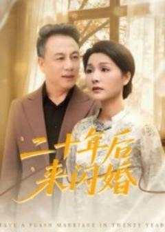 《二十年后来闪婚》