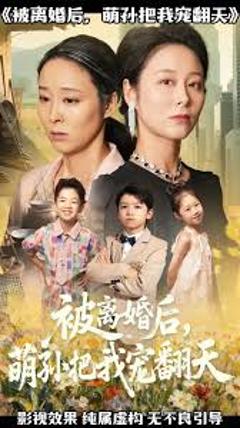 《被离婚后萌孙把我宠翻天》