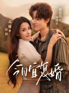《今日宜复婚》