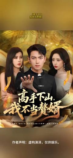 《高手下山我不当赘婿》