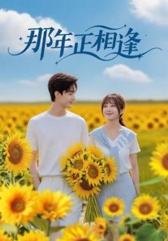 《那年正相逢》