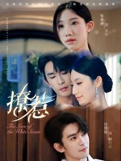 《撩惹短剧版》