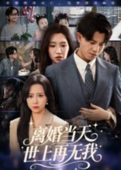《离婚当天世上再无我》