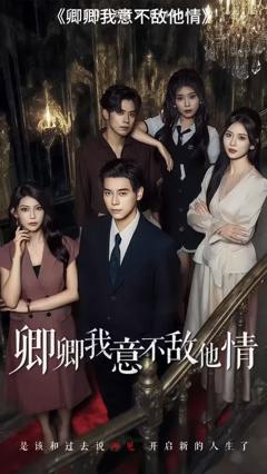 《卿卿我意不敌他情》