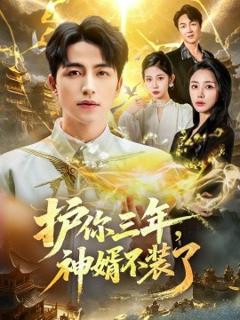 《护你三年，神婿不装了》