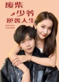 《废柴少爷的逆袭人生》