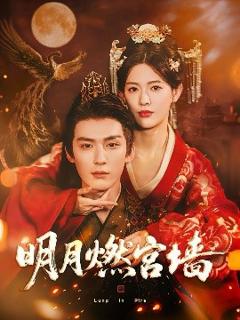 《明月燃宫墙》
