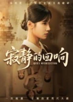 《寂静的回响》