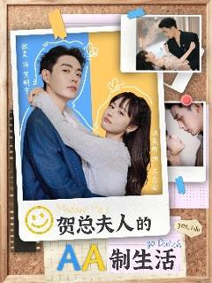 《贺总夫人的AA制生活》