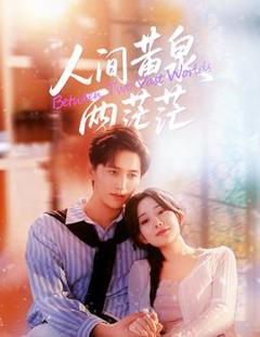 《人间黄泉两茫茫》