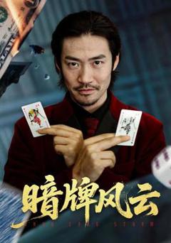 《暗牌风云》