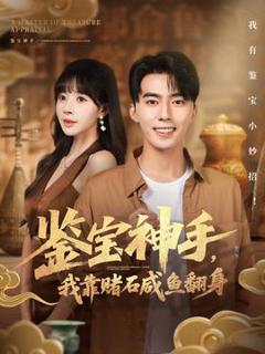 《鉴宝神手，我靠赌石咸鱼翻身》