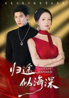 《归途似海深》