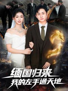 《缅国归来我的左手通天地》