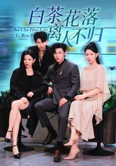 《白茶花落离人》