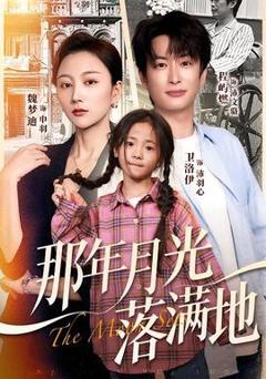 那年月光落满地