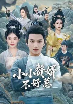 《小小赘婿不好惹》