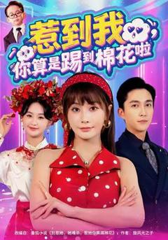 《惹到我，你算是踢到棉花啦》