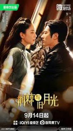 《荆棘与月光》