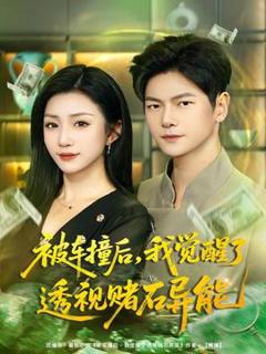 《被车撞后，我觉醒了透视赌石异能》