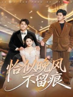 恰似晚风不留痕