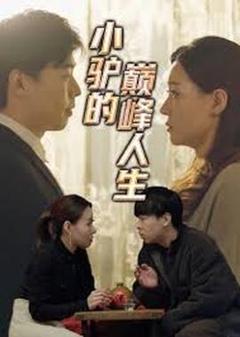 《小驴的巅峰人生》