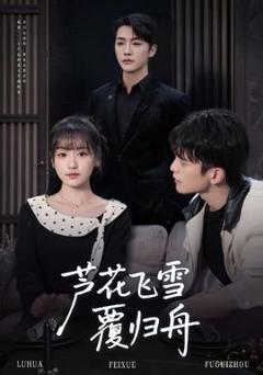 《芦花飞雪覆归舟》