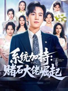 《统加持：赌石大佬崛起》