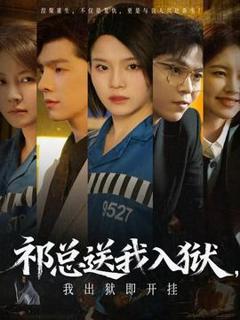 《祁总送我入狱，我出狱即开挂》