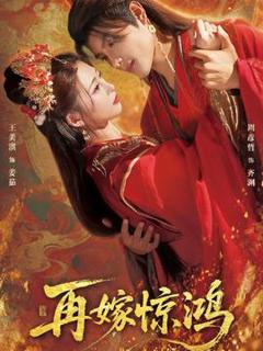 《再嫁惊鸿》