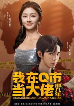 《我在Q市当大佬那几年》