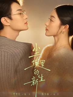 《尘埃里的新生》