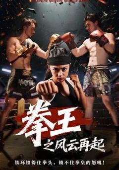 拳王之风云再起
