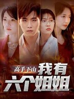 《高手下山我有六个姐姐》