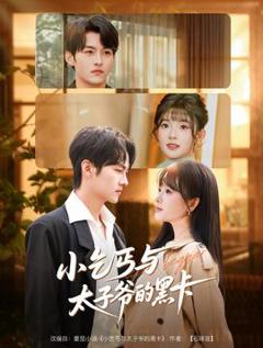 《小乞丐与太子爷的黑卡》