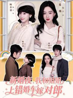 《新婚夜，我和姐姐上错婚车嫁对郎》