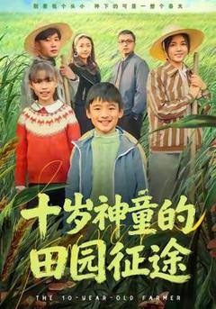 《十岁神童的田园征途》