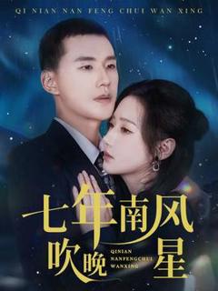 《七年南风吹晚星》