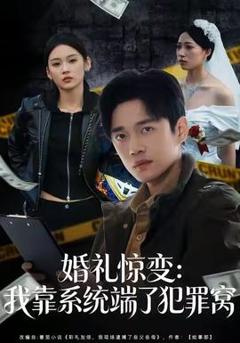 《婚礼惊变：我靠系统端了犯罪窝》