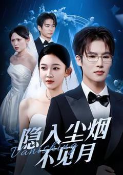 《隐入尘烟不见月》