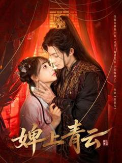 《婢上青云》